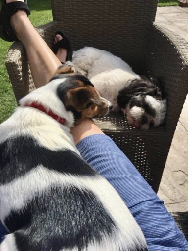 Alfie & Friend Alfie & Friend