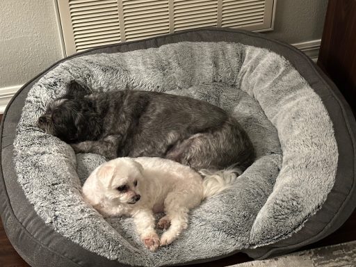 Molly & Ella Molly & Ella