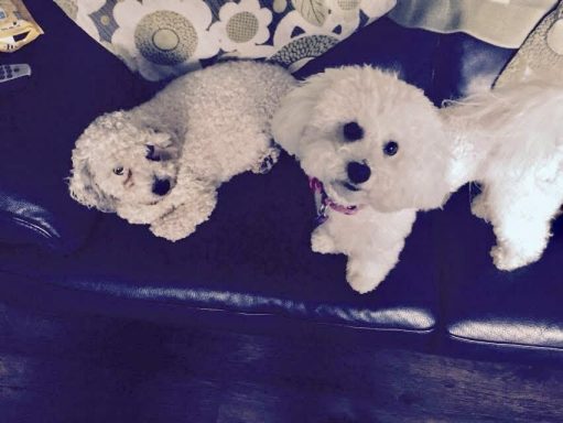 Summer & Friend Summer & Friend